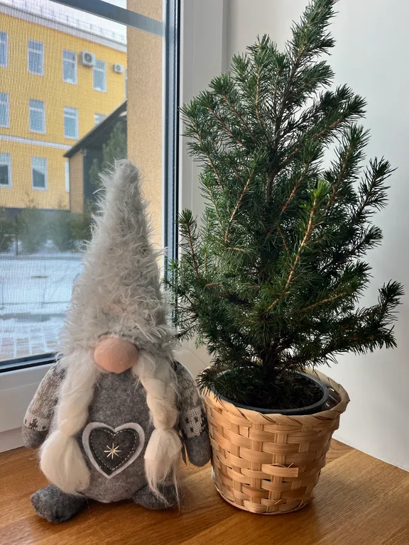 Уютный апартамент в центре города