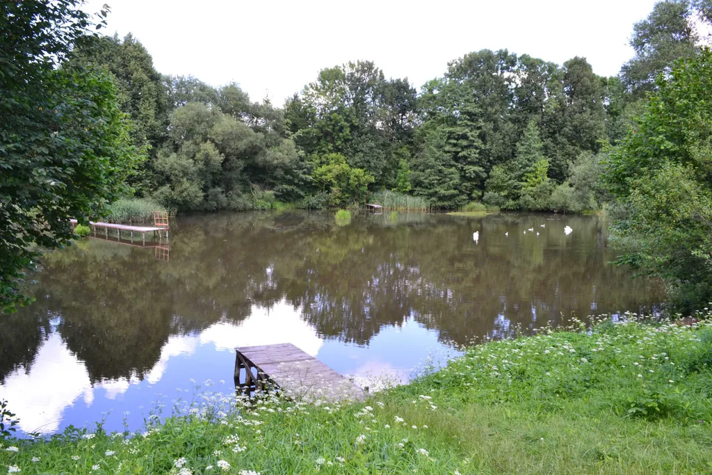 Эко дом у озера + баня удобно размещается 14 человек