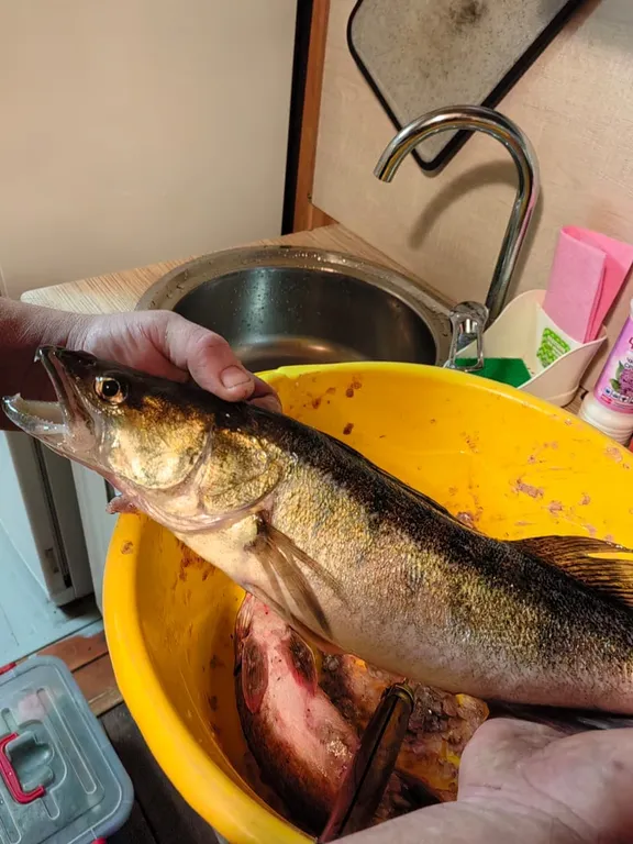 Коттедж Номер на Селигере у озера в сосновом бору — Турбаза Чайка