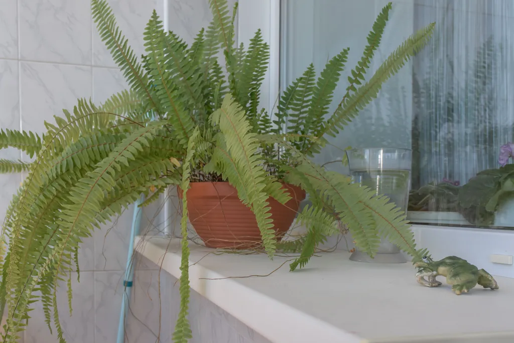 Квартира в тихом центре