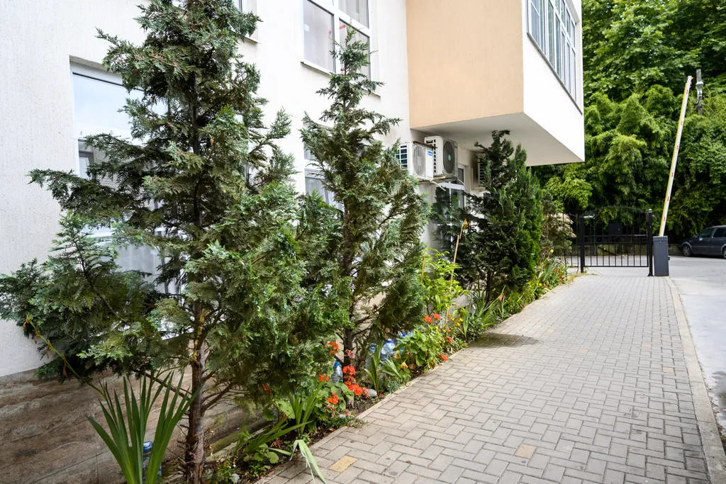 Квартира Апартаменты у моря в Сириусе — Сириус