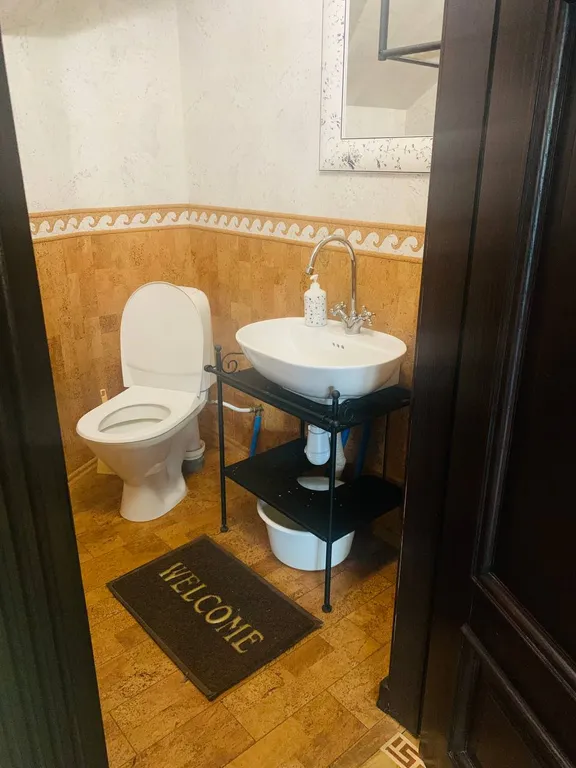 Профессорская дача