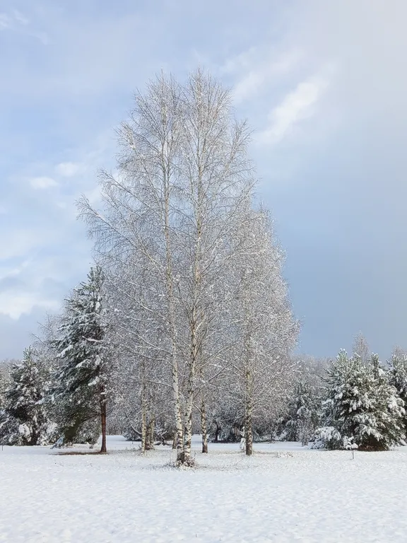 Частный дом Дыхание