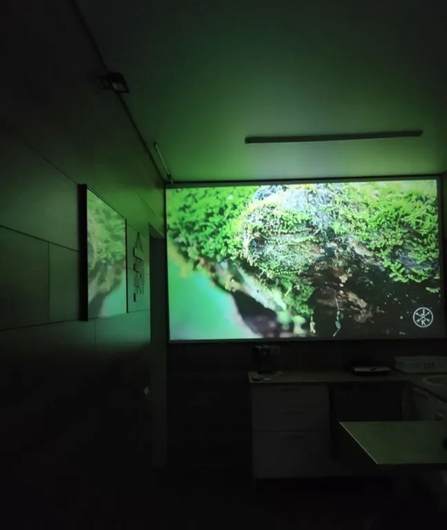 Уютная евро 2-квартира в центре города — аренда посуточно в Батайск