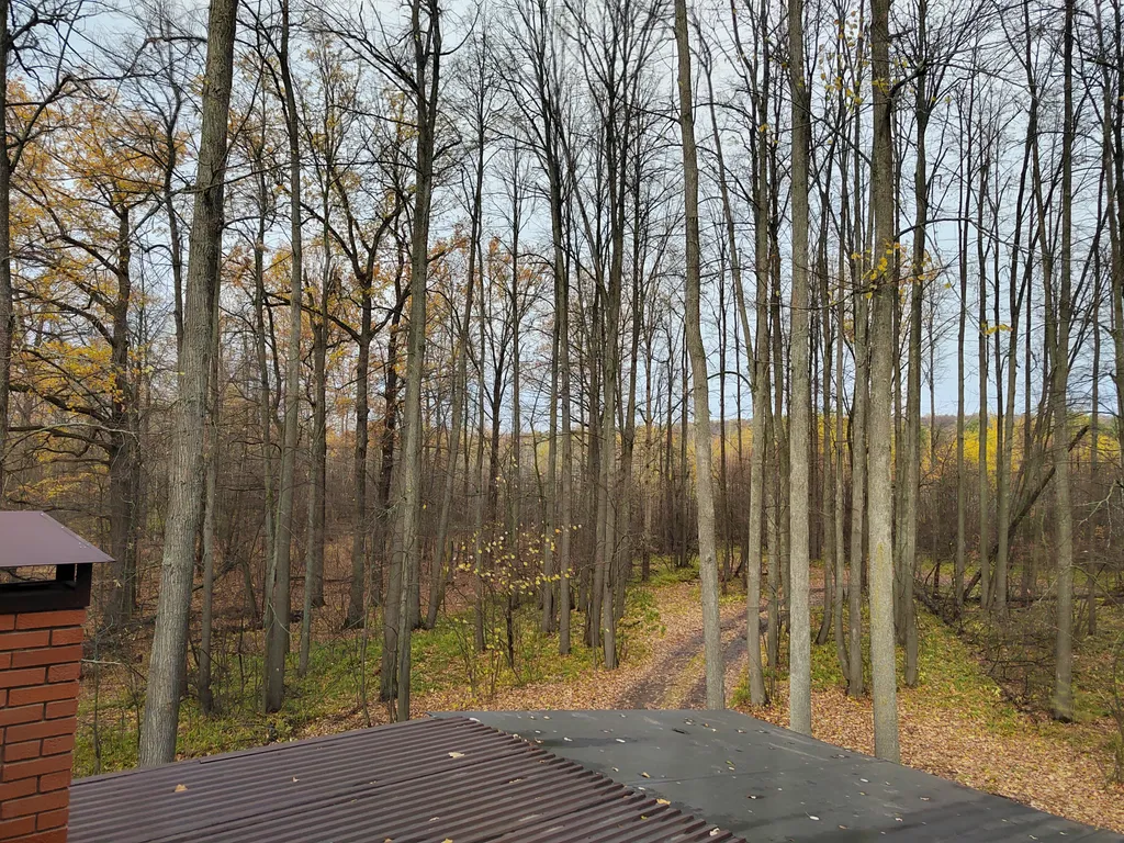 Дом в лесу у залива