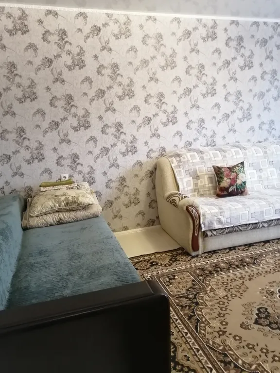 1-комнатная квартира в центре города