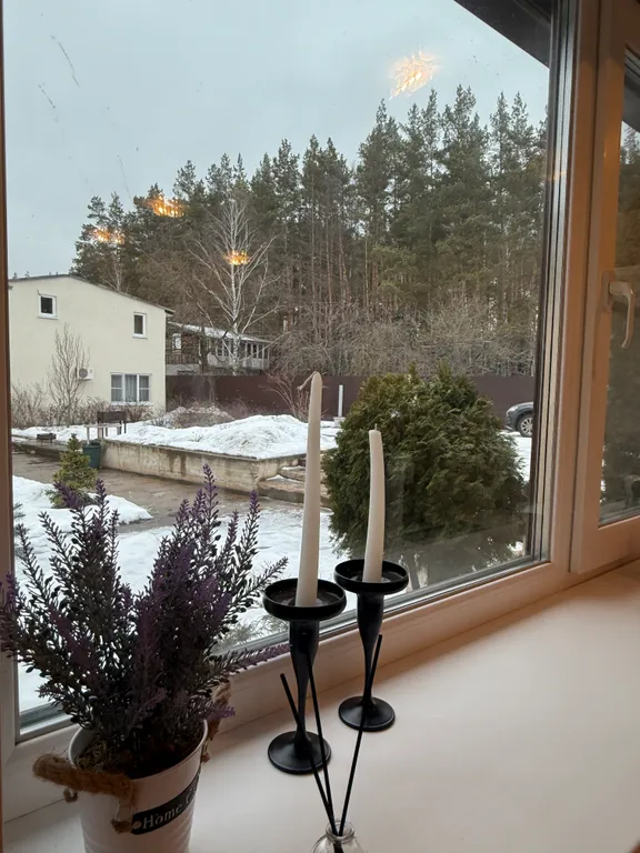 Уютный дом у леса