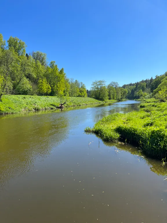 Коттедж Дубль дома с панорамными окнами на сосны — Семеновское