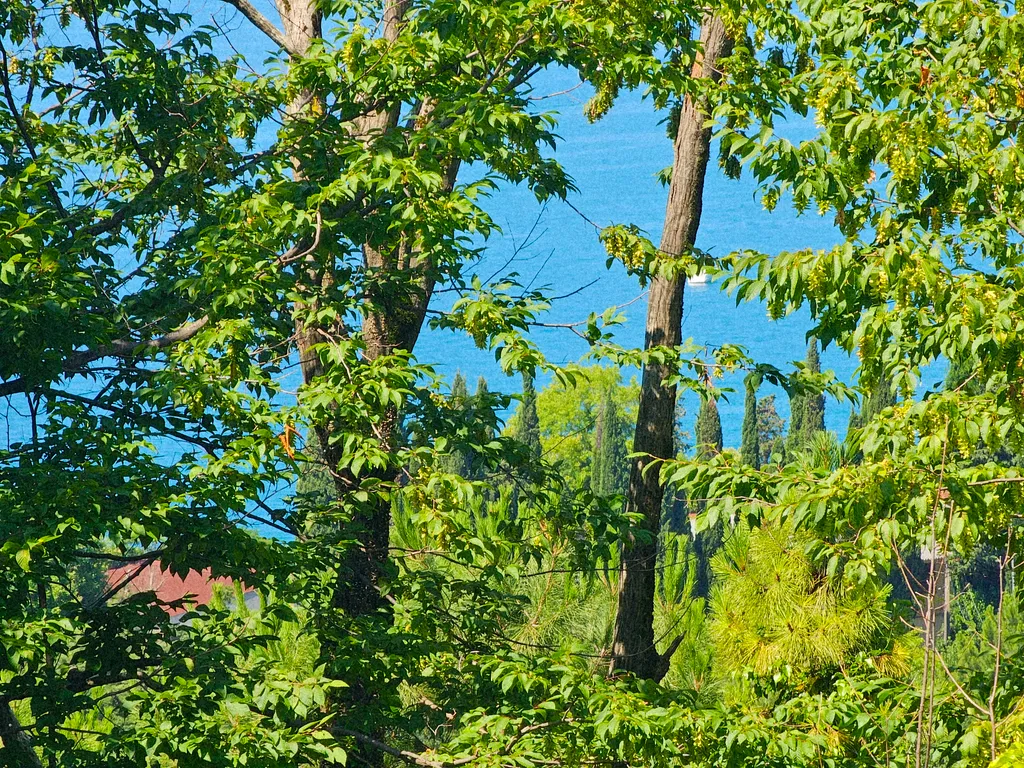 Семейный трехкомнатный номер с видом на море на III этаже