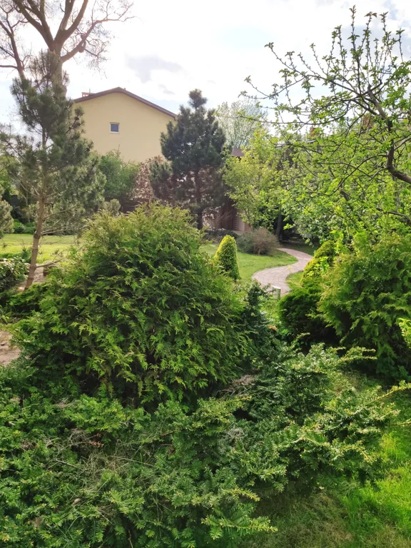 Деревенский дом у моря