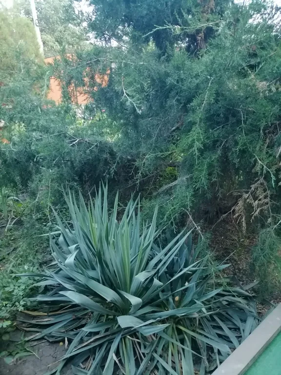 4-комнатный Дом