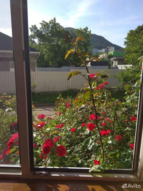 Уютно и тихо