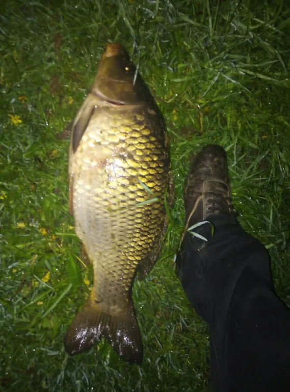 Коттедж Коттедж Селигерское — Березово