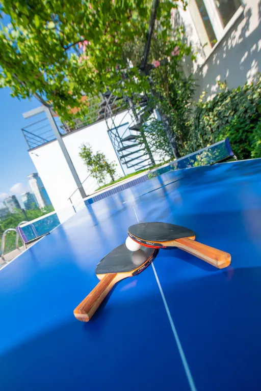 Central apartment with a swimming pool
