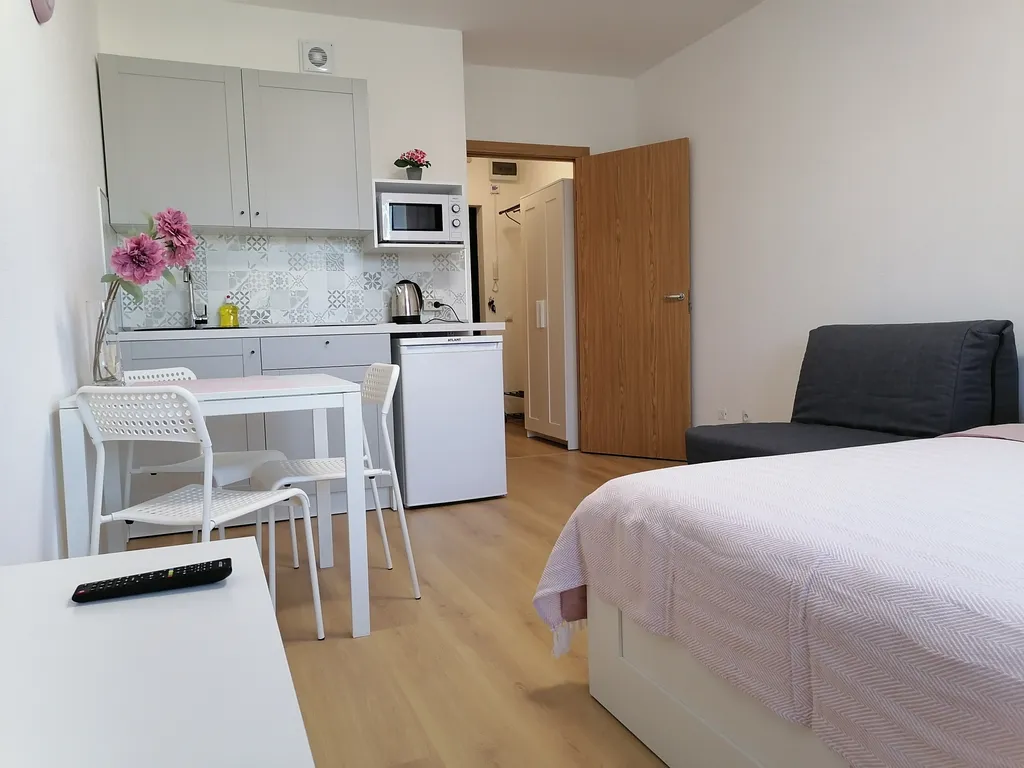 Квартира Квартира рядом с НМИЦ онкологии имени Петрова — Песочный