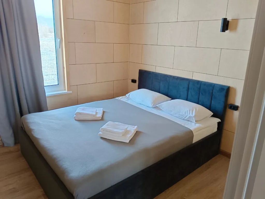 Виноградная лоза