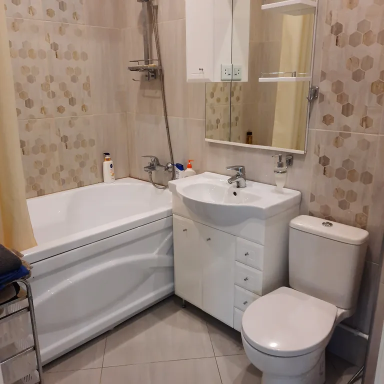 Дом с камином, зоной барбекю, батутом