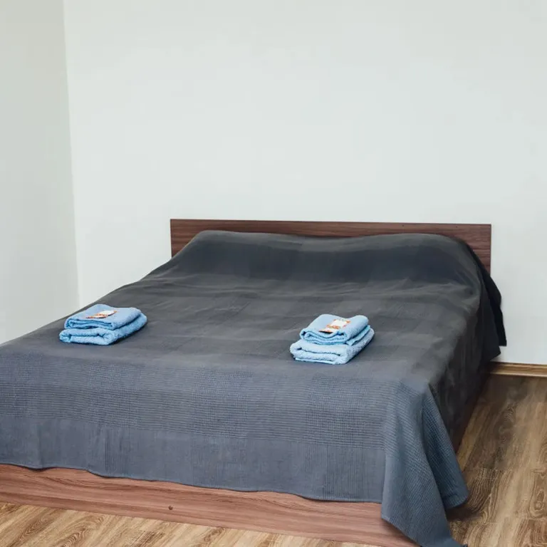 Квартира Апартаменты в сердце города — аренда посуточно в Петрозаводск