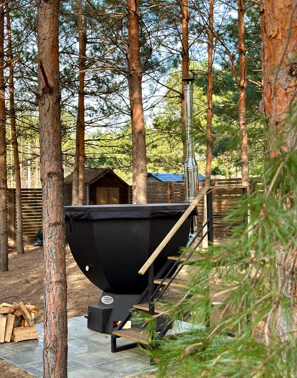 Домик в сосновом лесу