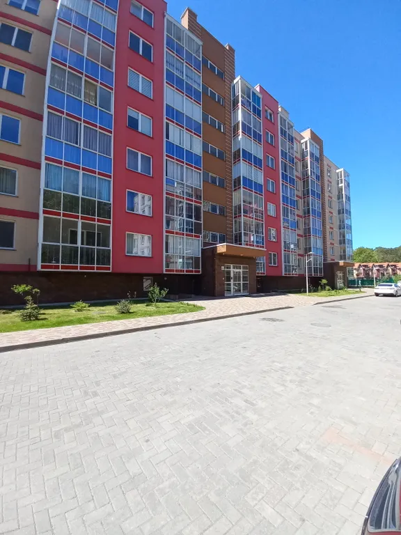 Сосновый рай у озера