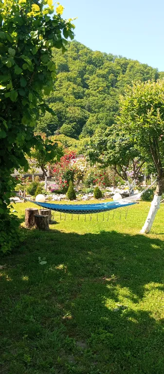 Милый дом в горах Адыгеи