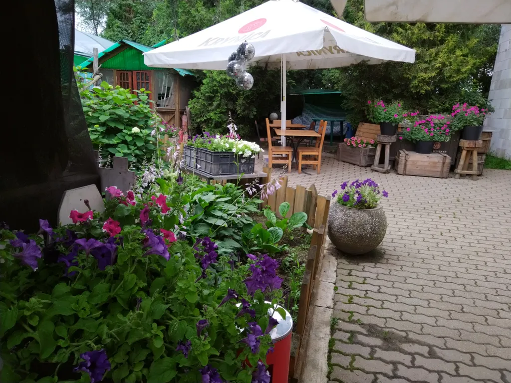 Уютный дом с баней на дровах для вашего отдыха