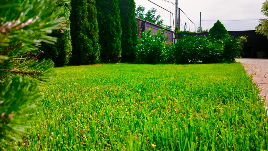 Гостевой дом