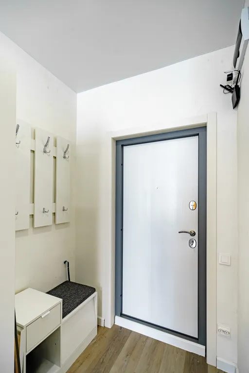 Студия Брутальный лев с панорамным видом на набережную реки