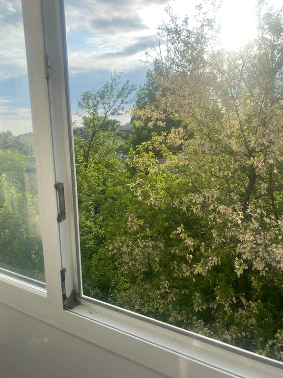 Однокомнатная квартира в центре города