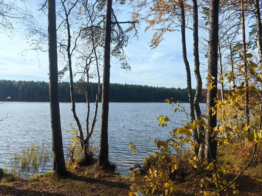 Шале и баня на 1 линии озера Красное, 2 километра от Финского залива, Пески
