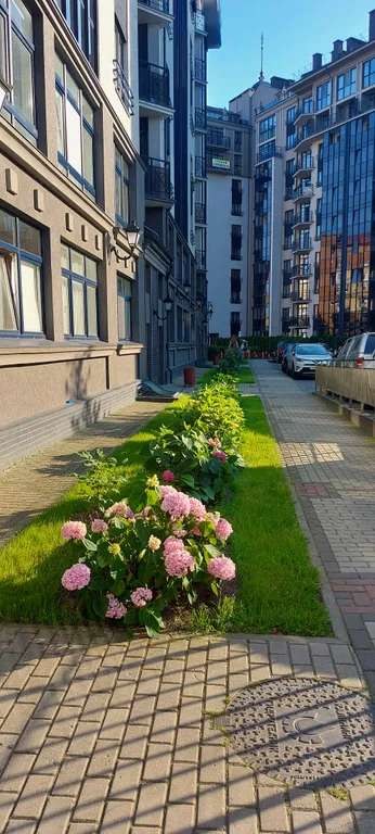 Квартира Уютная квартира — Калининград