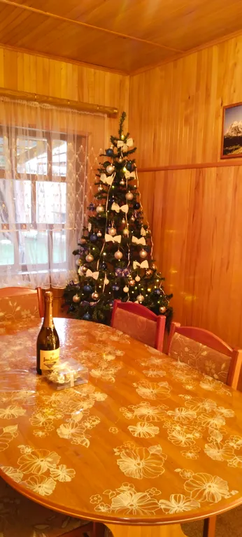 Уютный гостевой дом Оштен