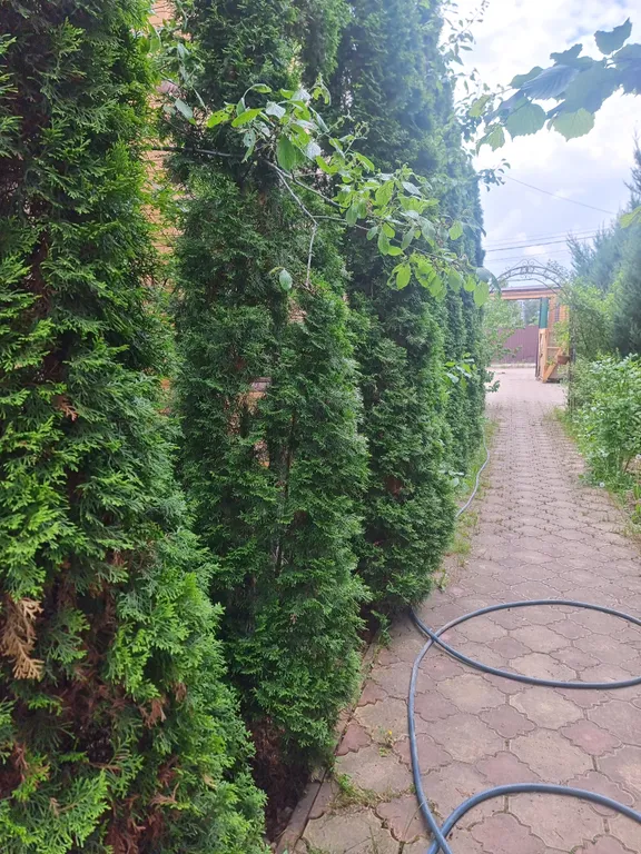 Дом у метро