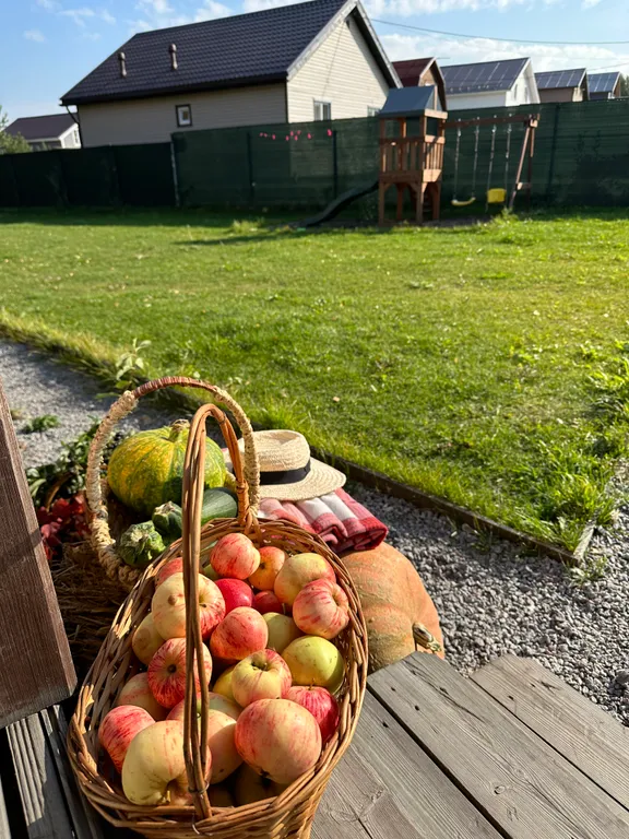 Загородный дом Сканди с баней и чаном