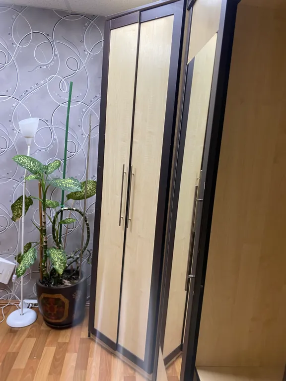 Уютная, чистая, центр города