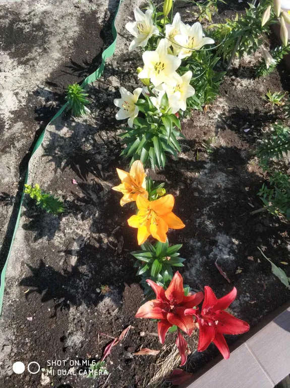 Апартаменты - студия с видом на море