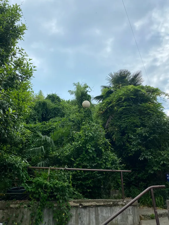 Квартира с отдельным входом и своим двориком