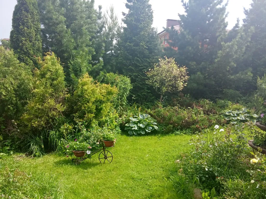 Дом с баней