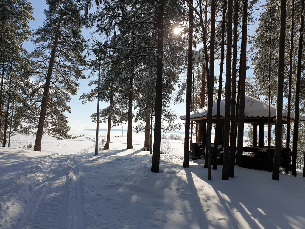 Семейный номер комфорт 2 ком. Вид на озеро и парк, в гост. Доме ранта