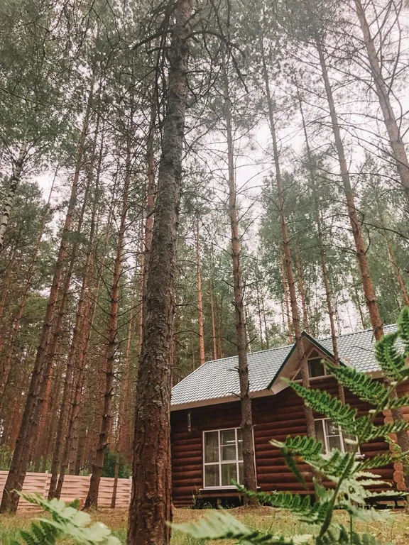 Дом в лесу на берегу реки Пра