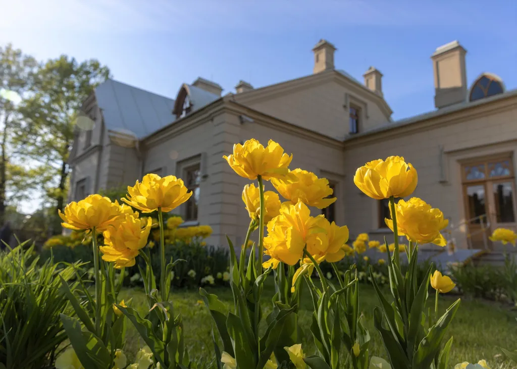 Квартира рядом с дворцами и фонтанами