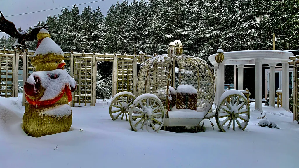 Шале в сосновом бору