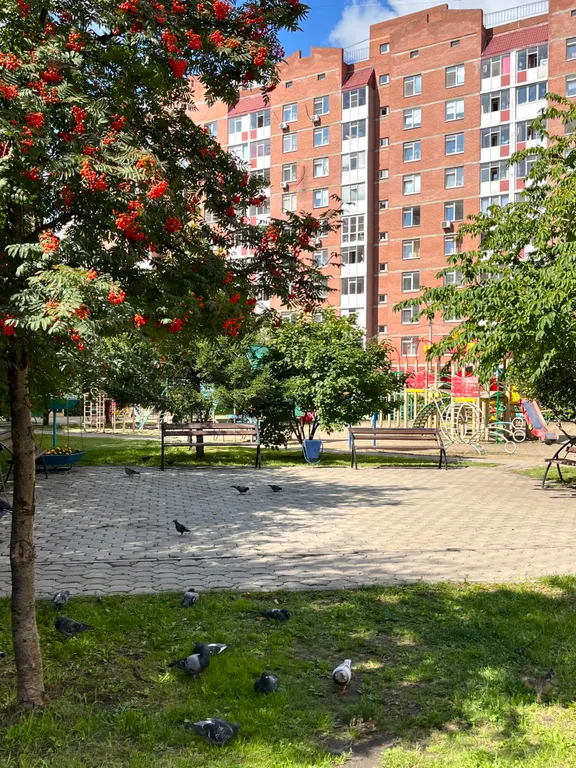 Квартира Комфортная квартира около Планеты — Красноярск