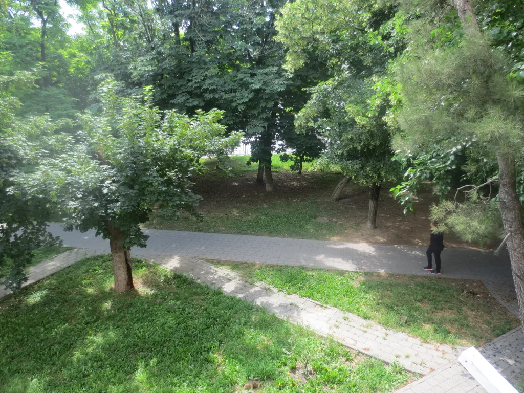 Собственник с отчетными документами