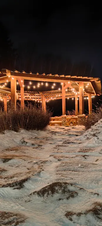 Дом в Беловежской пуще