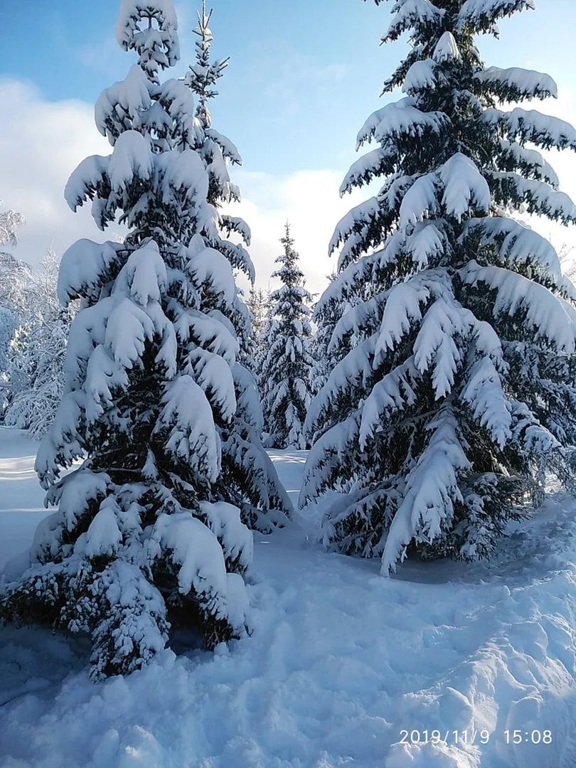 На прогулке