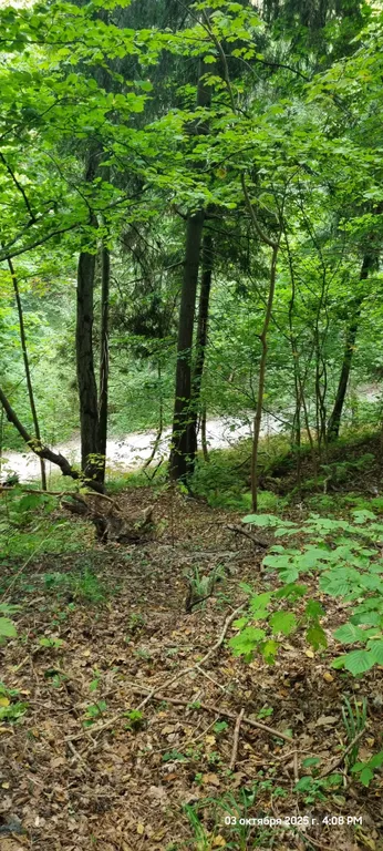 Квартира Апартаменты-студия комфорт класса в живописной части города — Светлогорск