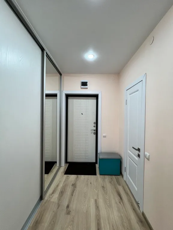 Просторная однокомнатная квартира в центре, не берем оплату за финальную уборку