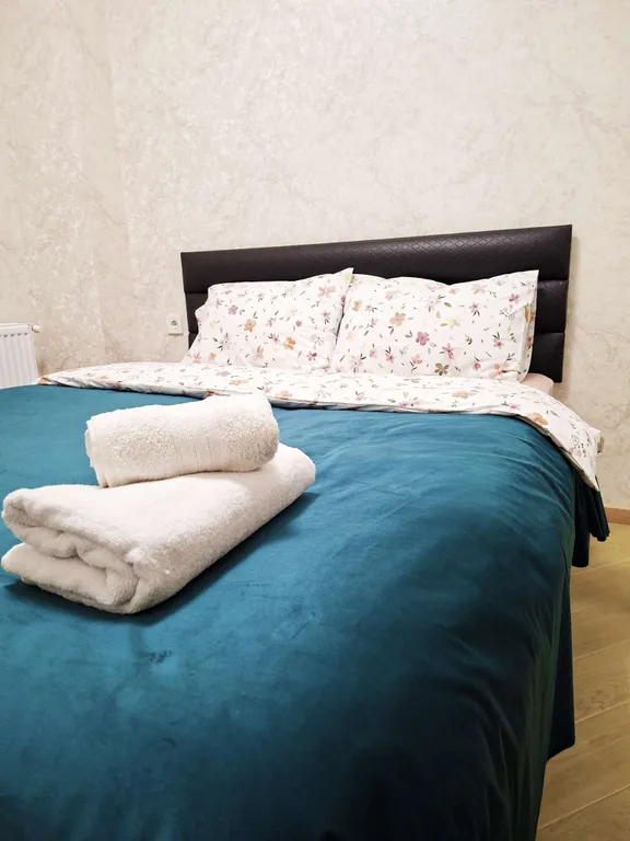 Двухкомнатная квартира в центре Тбилиси с балконом