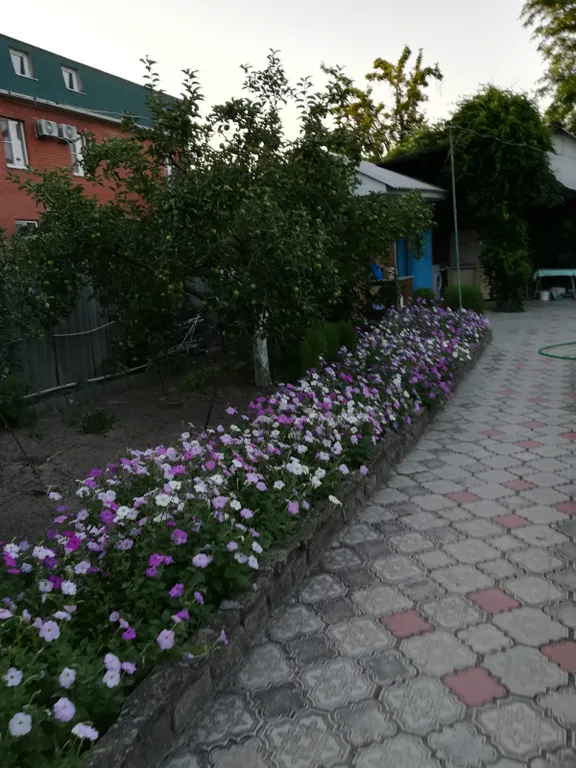 Домик у моря